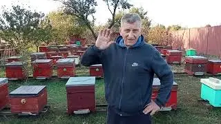Всего понемногу!