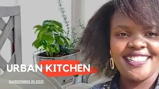 how to start a kitchen garden in 2021