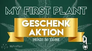 My First Plant - Geschenk Aktion - noch 26 Tage