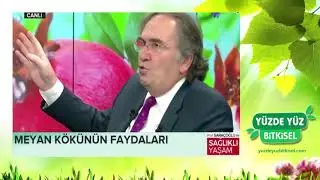 Meyan Kökünün Faydaları Meyan Kökü Neye İyi Gelir İbrahim Saraçoğlu