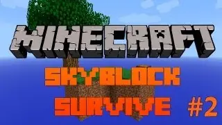 Minecraft-Skyblock Survive ep2