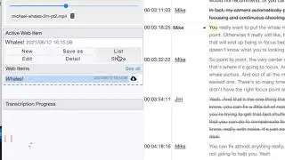Transcriptive Rough Cutter (3.0) - Premiere Panel and Web App differences