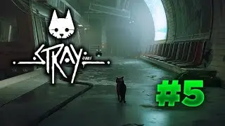 ÇIKMAZ YOL! STRAY TÜRKÇE BÖLÜM 5