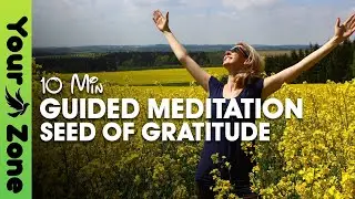 Feeling Grateful - 10 Minutes of GRATITUDE | Guided Meditation