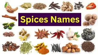 Spices Names | Spices Names In English With Pictures | Easy Spices Names.