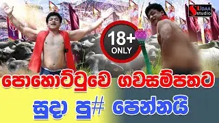 පොහොට්ටුවෙ ගවසම්පතට සුදා පු# පෙන්නයි - SUDAA STUDIO -