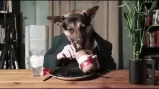Dog Loves Peanut Butter
