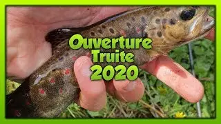 Ouverture de la truite 2020 - Pêche en ruisseau au toc !