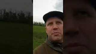 Помехи в нагонке