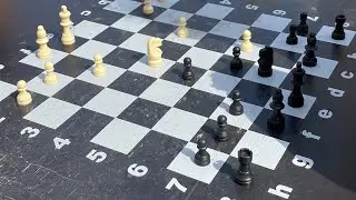 Шахматы. Играю белыми на улице