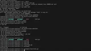 Working with Golang Packages