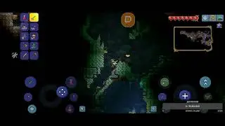 Играю в terraria на стриме, ссылка на донат в описании