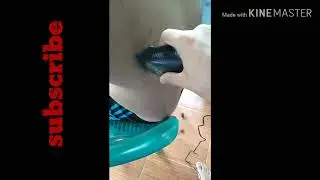 Cukur cukur bulu  lucu