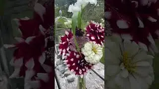 Red & White Bouquet 🤩 dahlia is the star of the show!