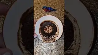 Шок! ЧТО НЕОЖИДАННО СЛУЧИТСЯ 