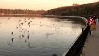 Кишинев, Комсомольское озеро ближе к вечеру.