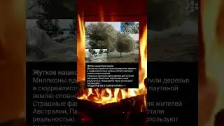 Нашествие пауков