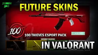 Future Skins in Valorant