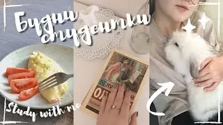 МОЙ ДЕНЬ: Завела кролика | Японский завтрак | Book swapping | Учись со мной