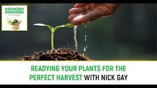Readying Your Plants For The Perfect Harvest With Nick Gay
