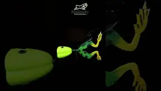 The Best Bass Fly!