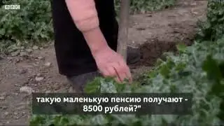Денег нет, но вы держитесь. Как живет героиня мема