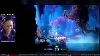 5 • Ori and the Will of the Wisps
