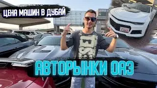 Как купить машину в Дубай,Регистрация машины в Дубай,Аренда машины в Дубай