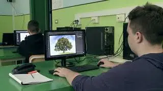 DIVINI Grafica