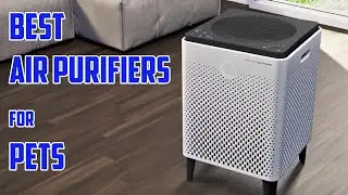 The 5 Best Air Purifiers for Pets of 2023