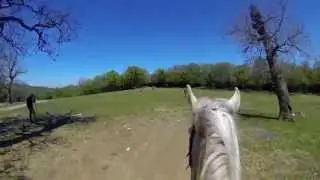Dört Nala