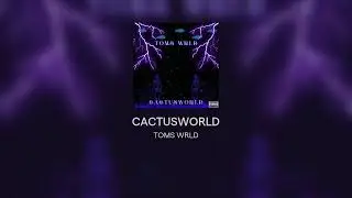CACTUSWORLD