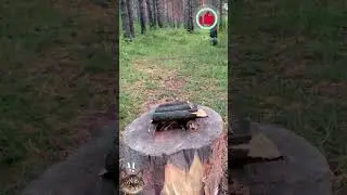Survival bushcraft skills from Nastya 🔥 