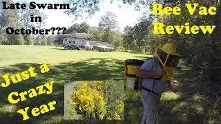 October Swarm!! And Everything Bee Vacuum Review