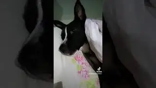 tô de boa...