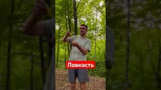 Зарядка, ловкость, интуиция #практика #ловкость #зарядка