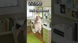 Пов: Как я делаю уроки😂