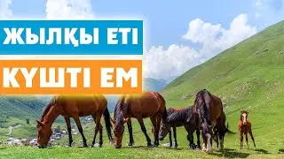 ЖЫЛҚЫ ЕТІ 15 АУРУДАН ЕМДЕЙДІ, ТЕЗ КӨРІҢІЗ, Жылқы етін жейтіндер, Керек арнасы