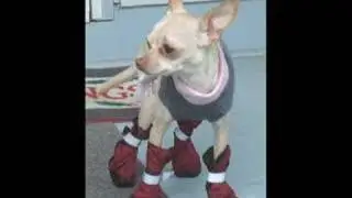 these boots AREN'T made for walkin' ...