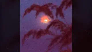 [FREE] $uicideboy$ Type Beat - 