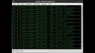 Centos 6 Primary DNS Part 3.mp4