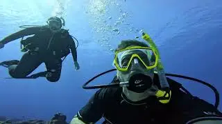 Just underwater