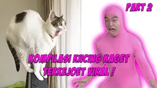 KUCING KAGET TERKEJOET NGAKAK KOCAK VIRAL (PART 2)