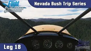 Microsoft Flight Simulator 2020 - Nevada Bush Trip - Leg 18
