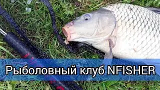 Лето началось, карповую ловлю никто не отменял))