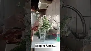 #primavera #flores #floresnaturais #flowers #cuidandodolar #meular #lardocelar #colheita #realidade