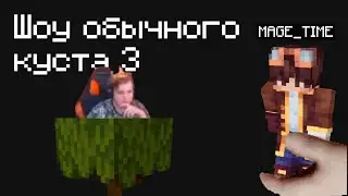 Шоу обычного куста (@MEDZJ-3006)