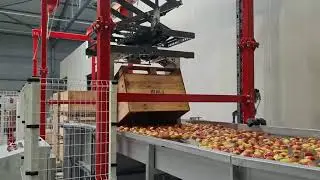 portal dumper apple and pears