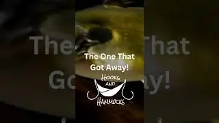 Fish Come in 3 Sizes.... 