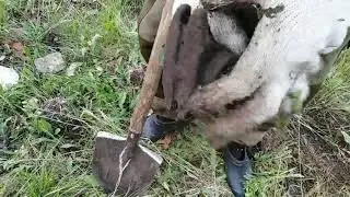 С БАЛГАРКОЙ НА МЕТАЛЛОКОП